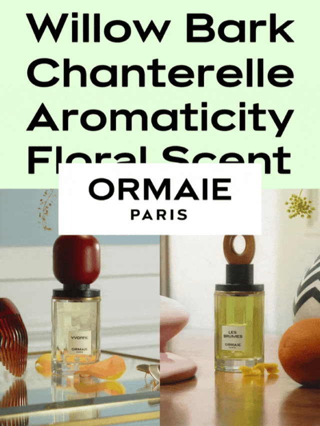 招聘|2024第四季度SGDA会员单位招聘