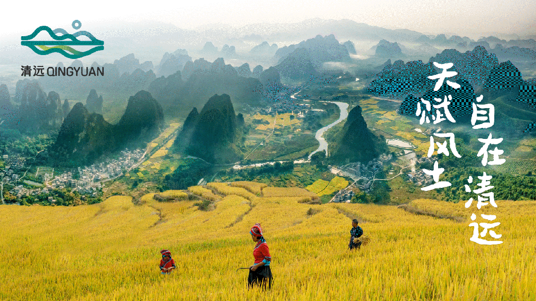 招聘|2024第四季度SGDA会员单位招聘