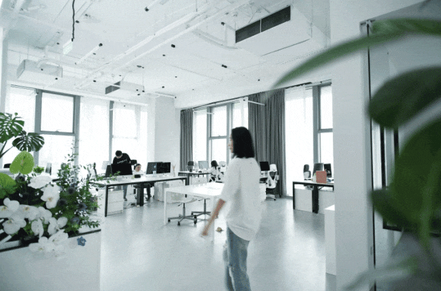 招聘|2024第四季度SGDA会员单位招聘