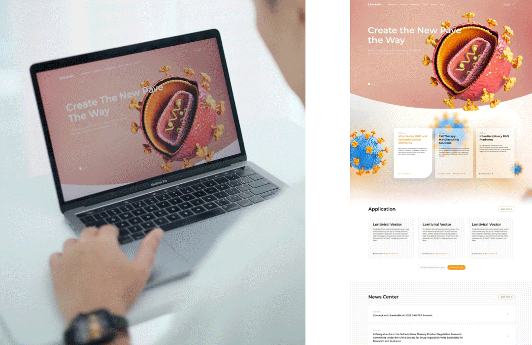 招聘|2024第四季度SGDA会员单位招聘