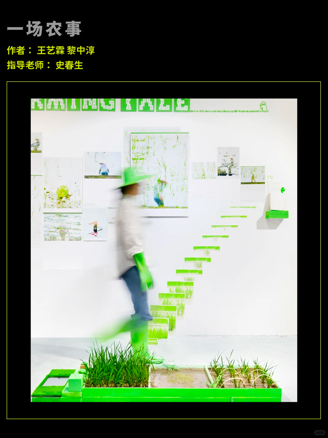 SGDA年度毕设奖专访｜《一场农事》
