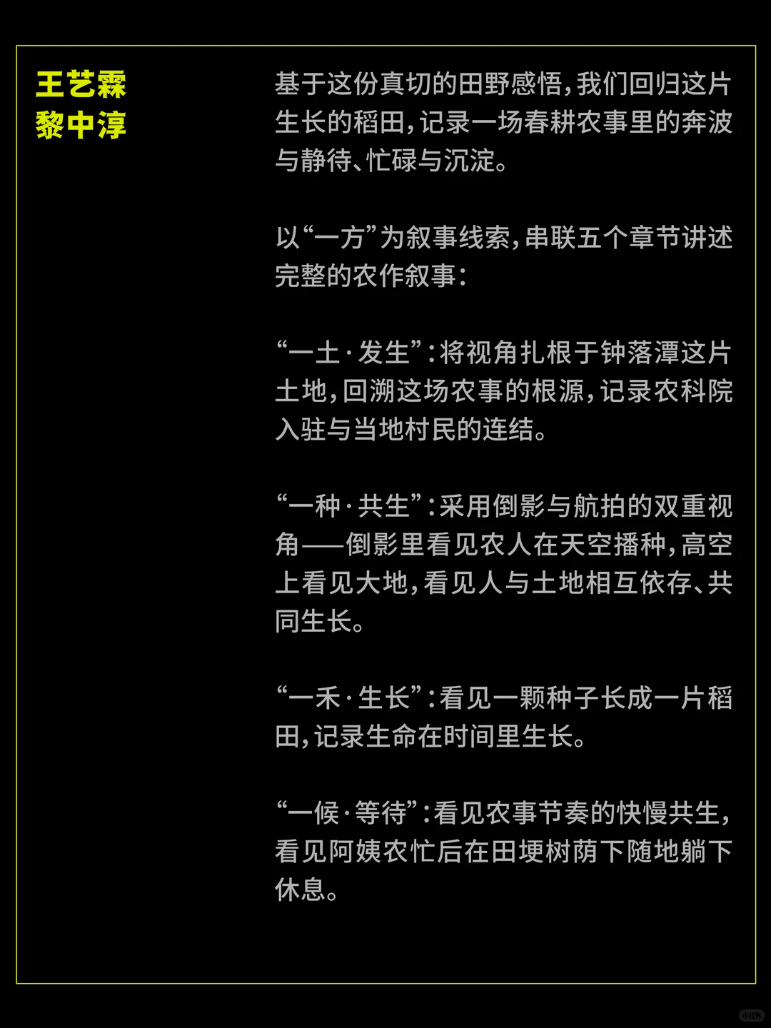 SGDA年度毕设奖专访｜《一场农事》
