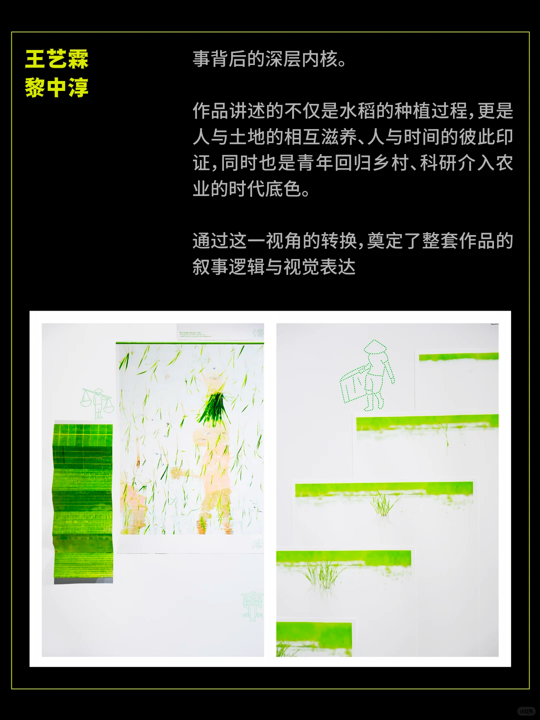 SGDA年度毕设奖专访｜《一场农事》