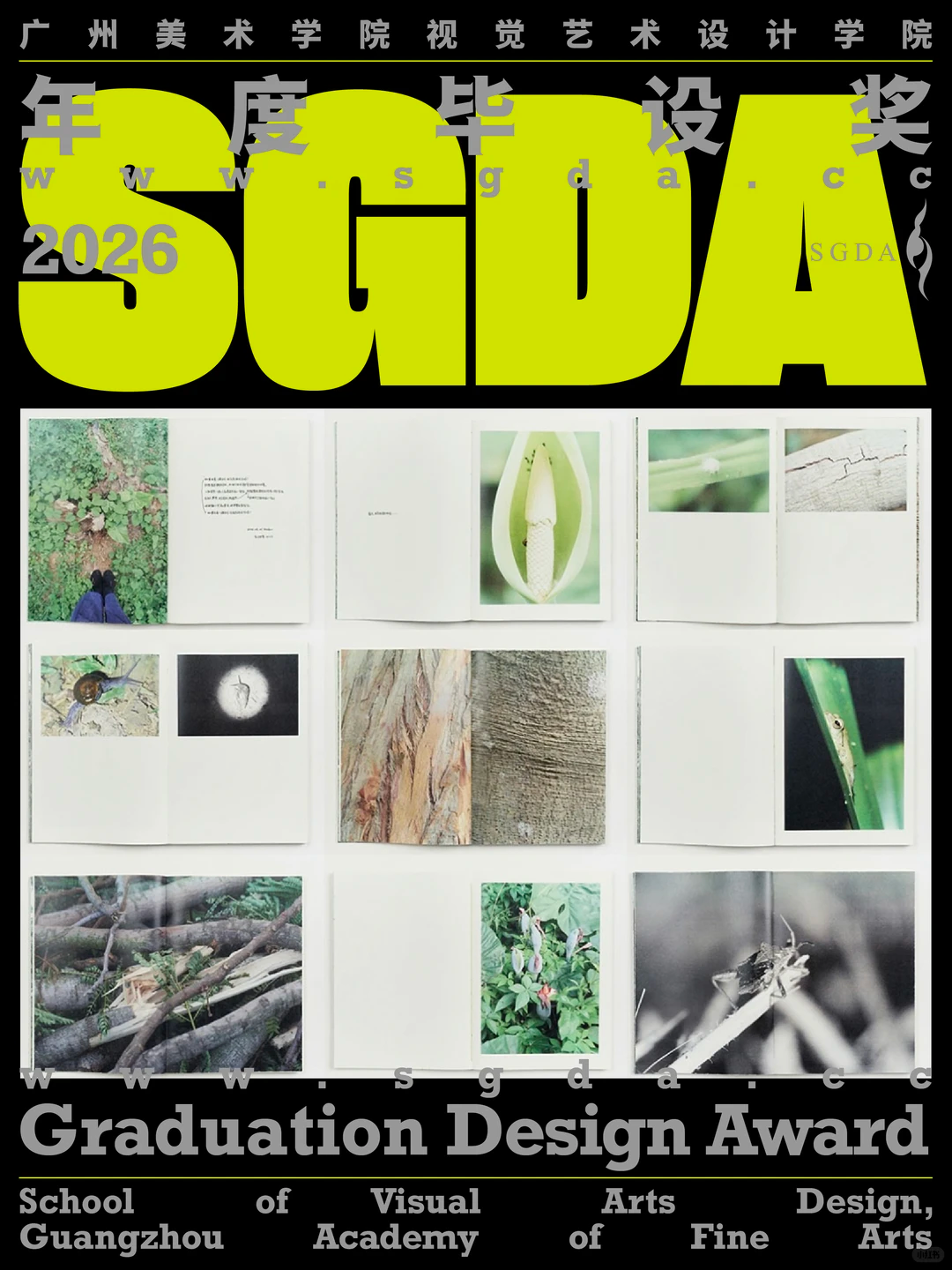 SGDA年度毕设奖专访｜《如果我是一棵树》