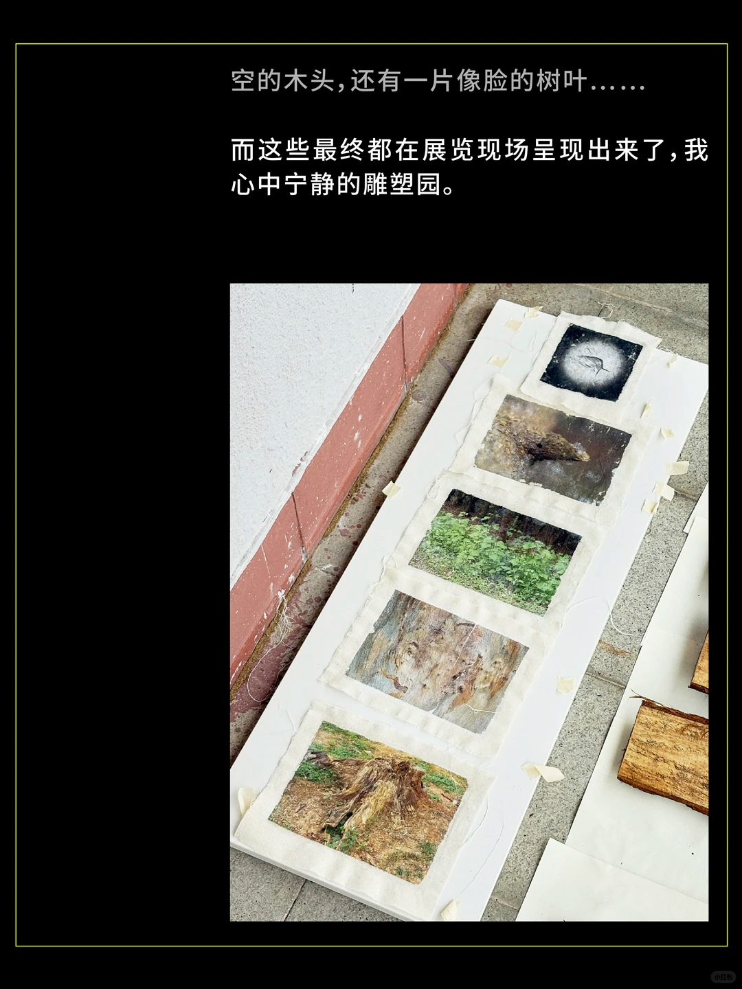 SGDA年度毕设奖专访｜《如果我是一棵树》