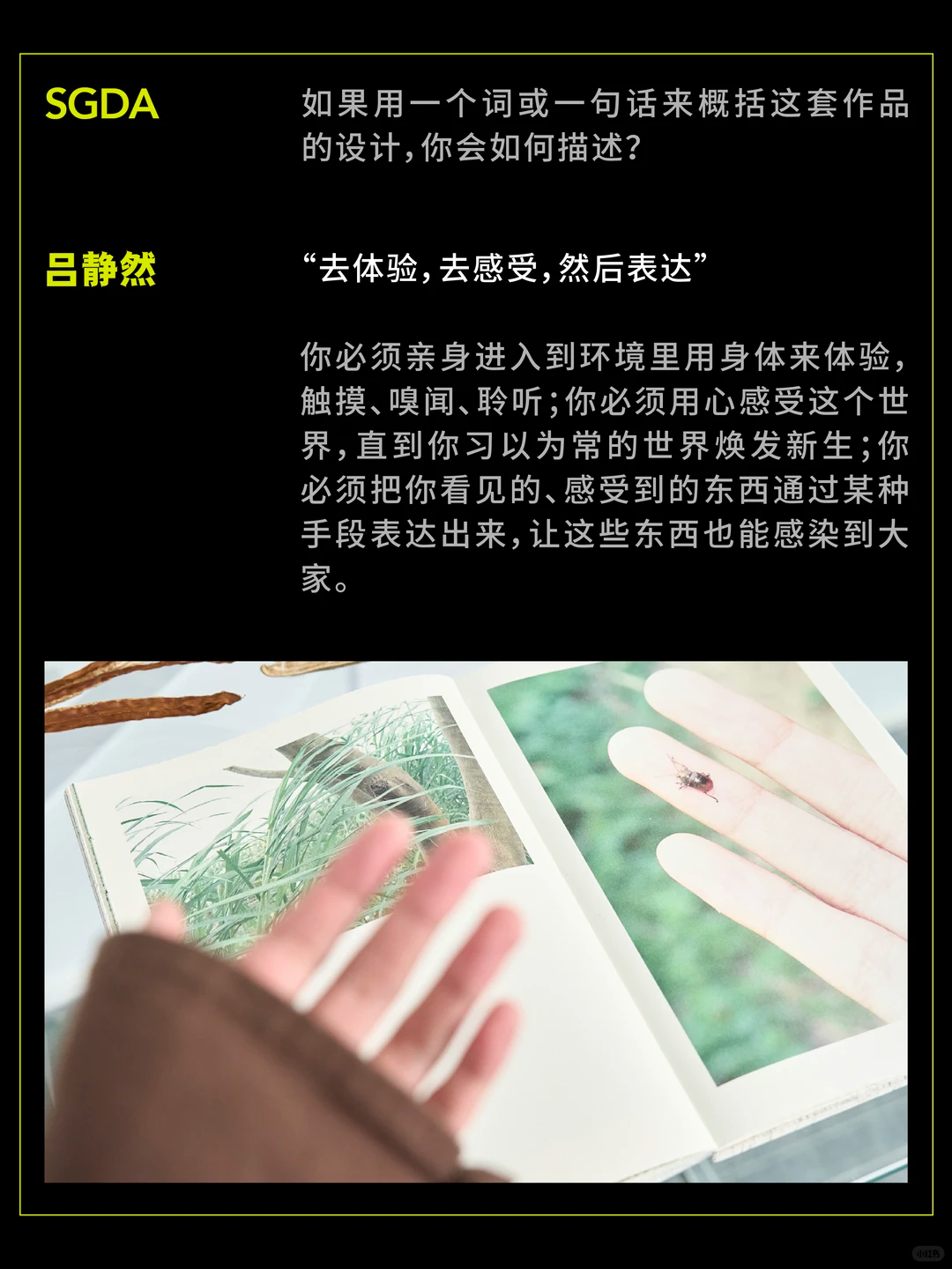 SGDA年度毕设奖专访｜《如果我是一棵树》