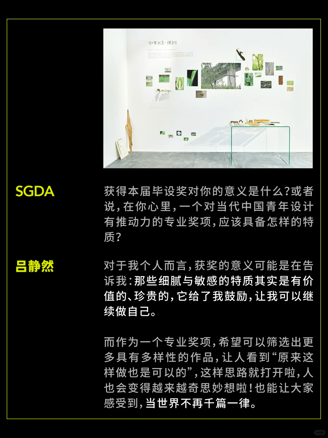 SGDA年度毕设奖专访｜《如果我是一棵树》