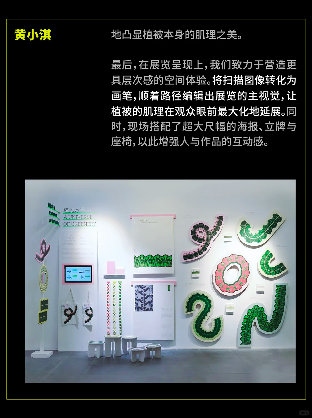 SGDA年度毕设奖专访｜《植此万千》