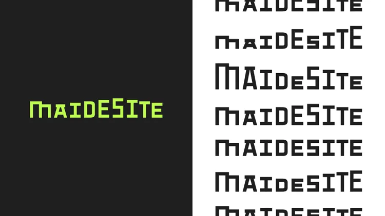 SGDA能量秀线下沙龙| 段智华 × 谢瑞康