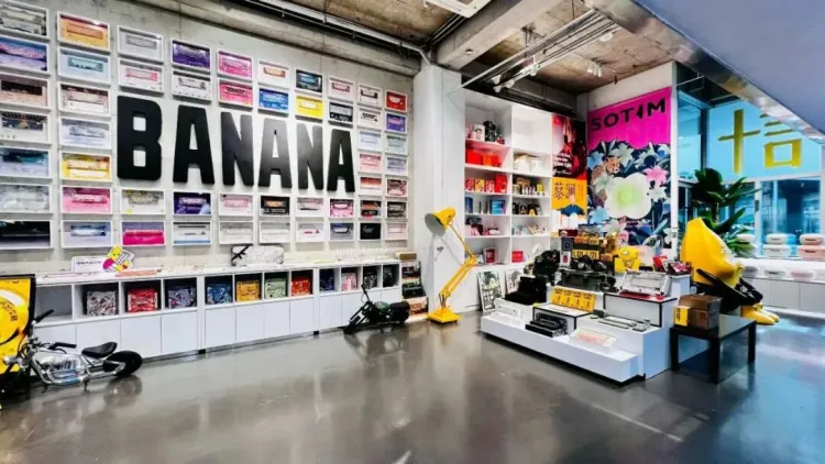 招聘｜2025年第三季度会员单位招聘