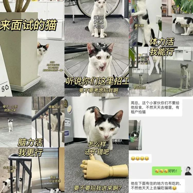 SGDA能量秀 | 周圣典：解决难题、带来喜悦的过程，也正是DXD的价值所在。