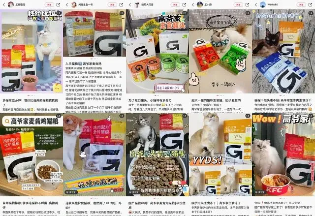 SGDA能量秀 | 周圣典：解决难题、带来喜悦的过程，也正是DXD的价值所在。