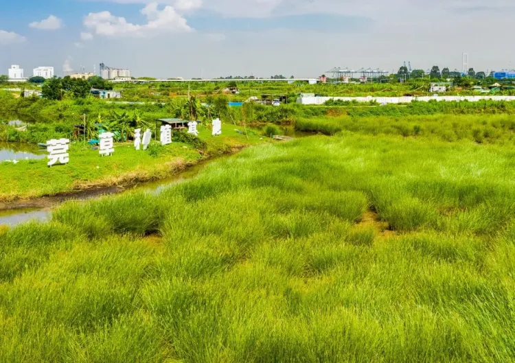 SGDA 能量秀 | 谢瑞康:当设计师开了按摩店,会发生什么?