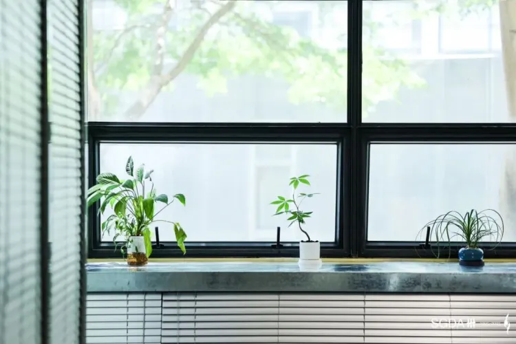 SGDA新空间更新｜设计专访