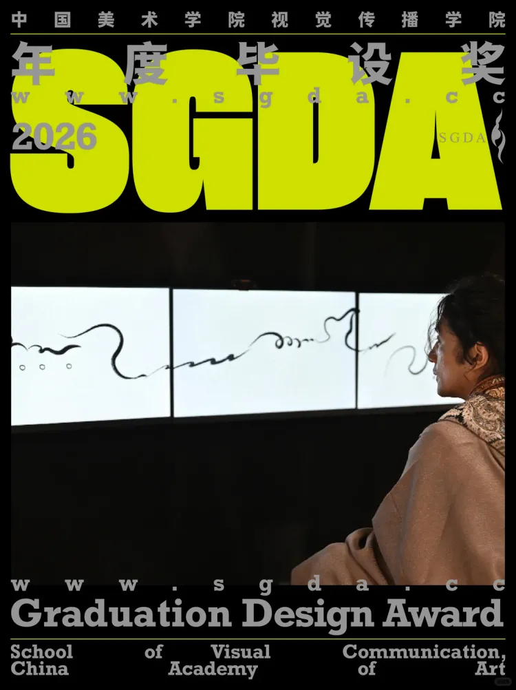 SGDA年度毕设奖专访｜《回声场》