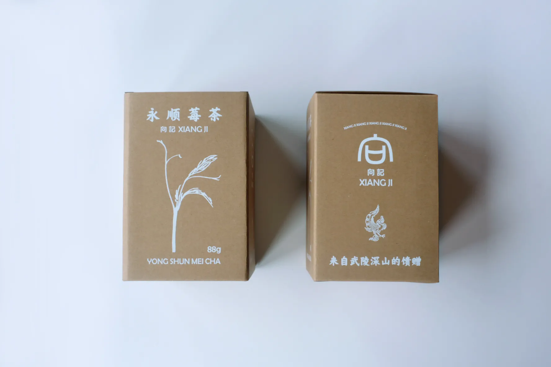 向记莓茶包装