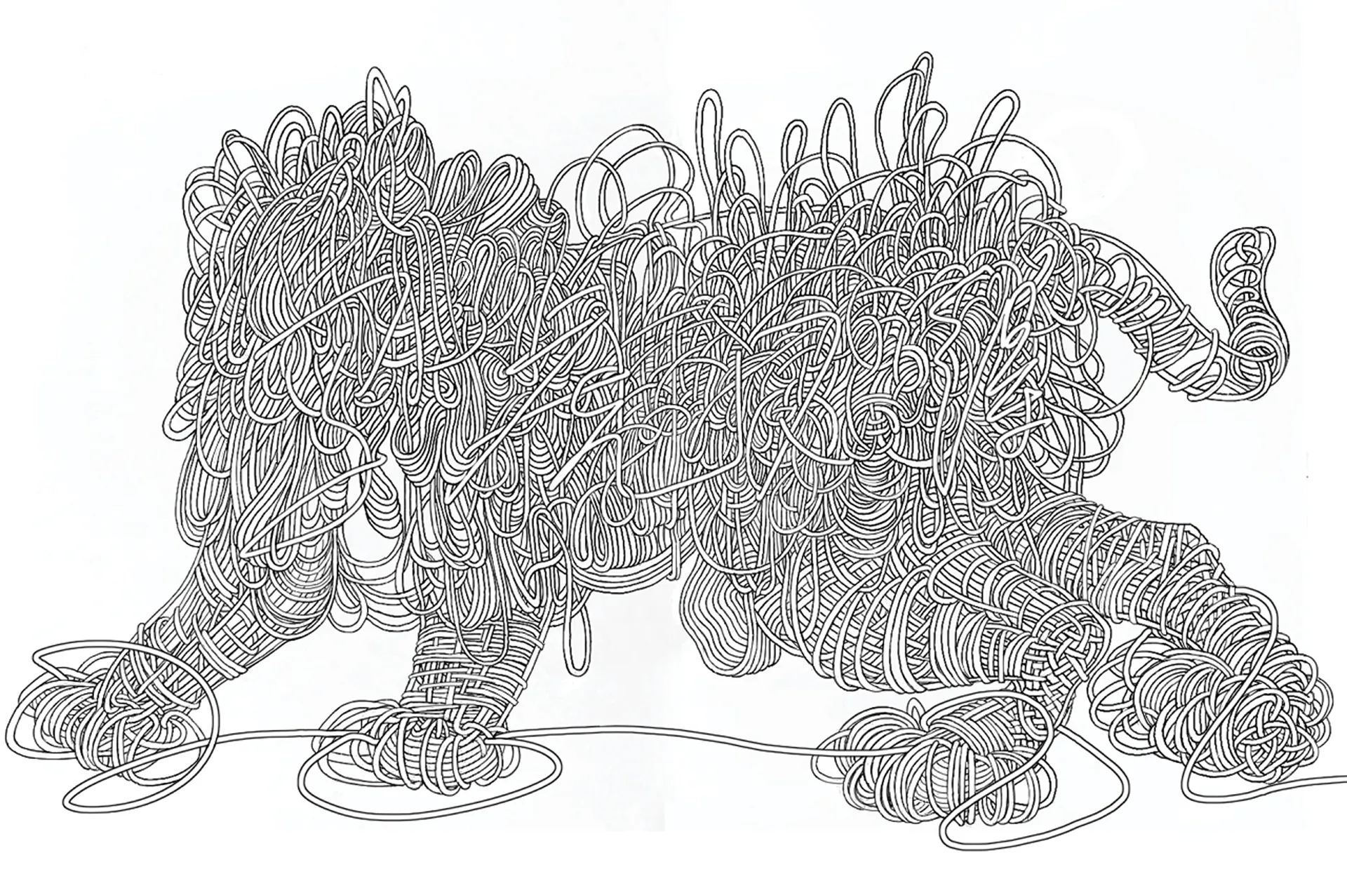 《2022马虎不得》